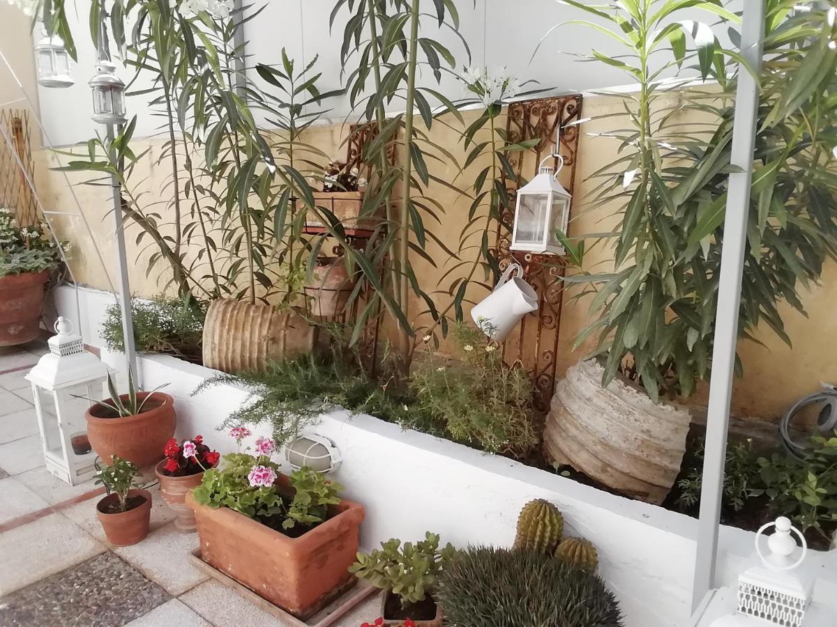 Amazing Semi-basement Art Easy Walk To Centre Apartment