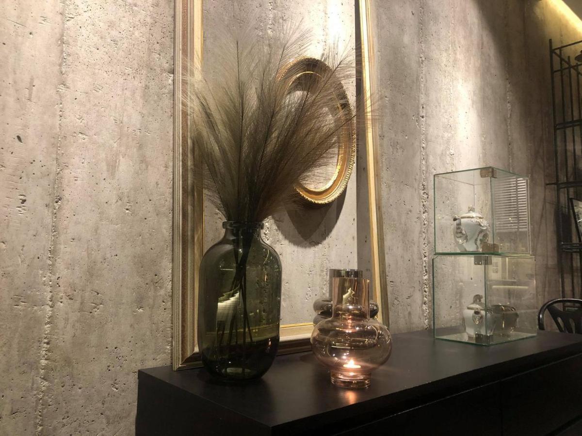 Amazing Semi-basement Art Easy Walk To Centre Apartment